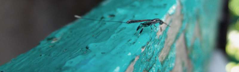 Warehouse Pest Control